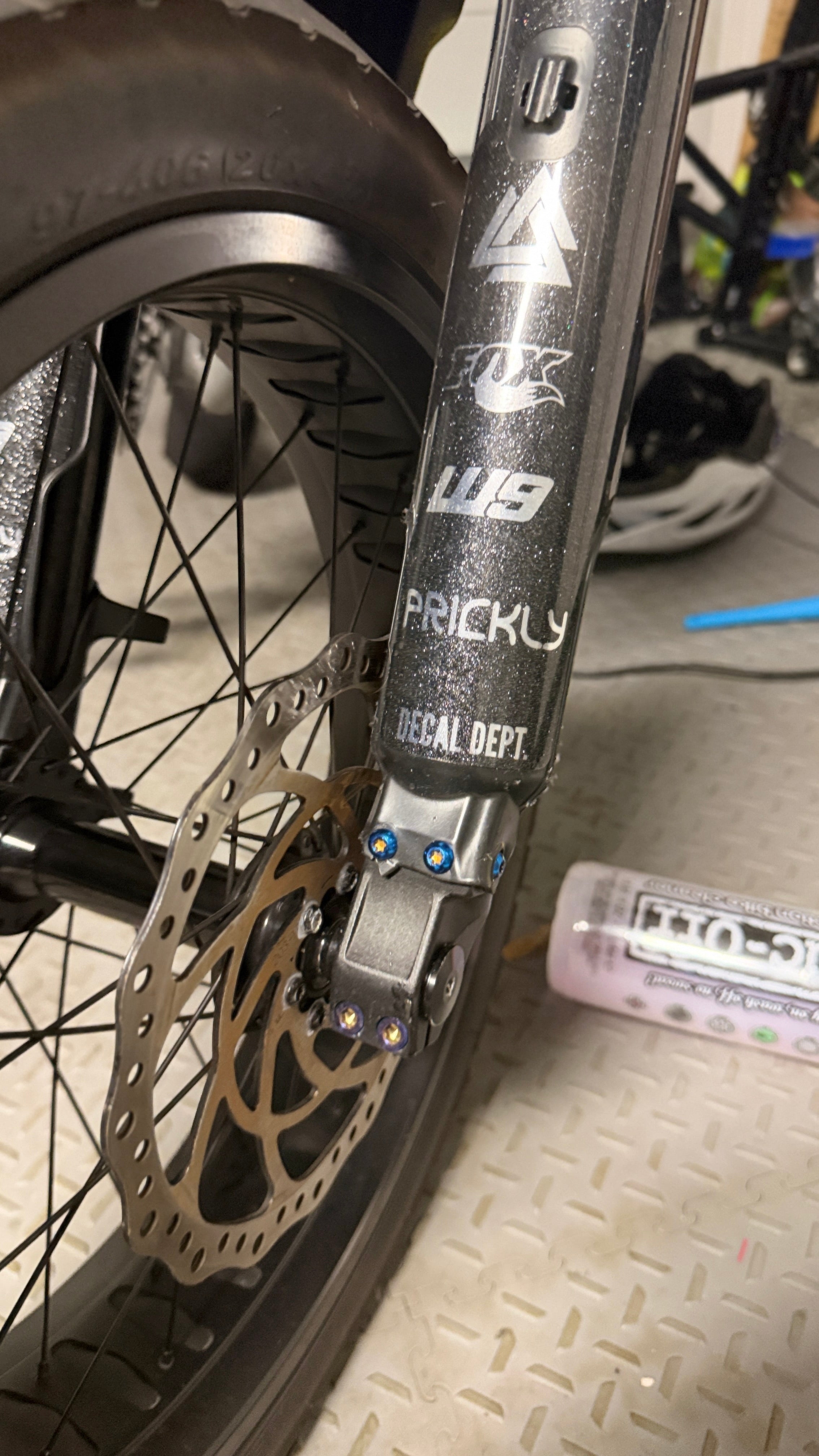 Titanium fork guard bolts